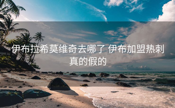 伊布拉希莫维奇去哪了 伊布加盟热刺真的假的