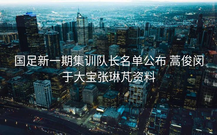 国足新一期集训队长名单公布 蒿俊闵于大宝张琳芃资料