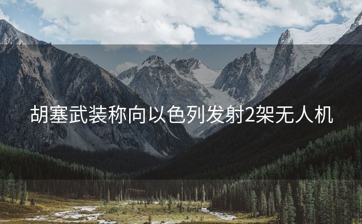 胡塞武装称向以色列发射2架无人机