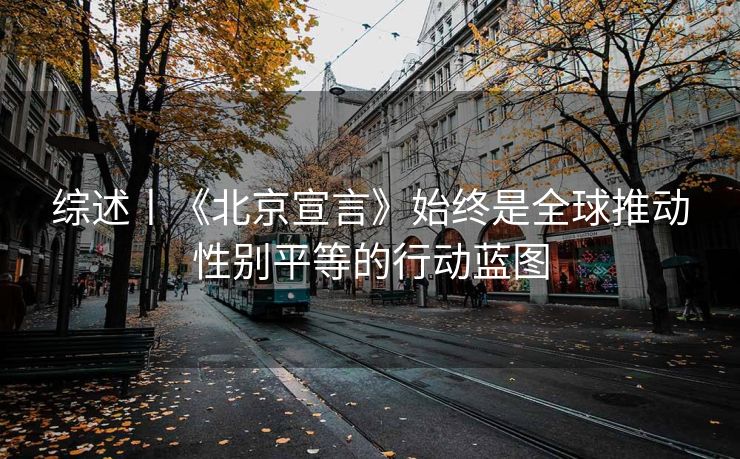 综述丨《北京宣言》始终是全球推动性别平等的行动蓝图