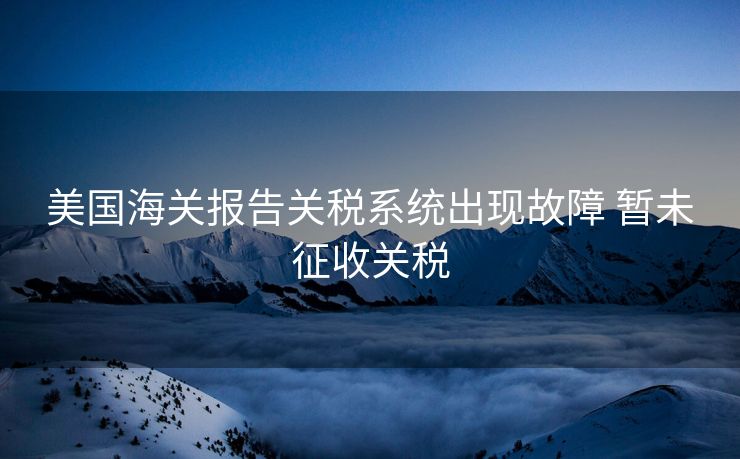 美国海关报告关税系统出现故障 暂未征收关税