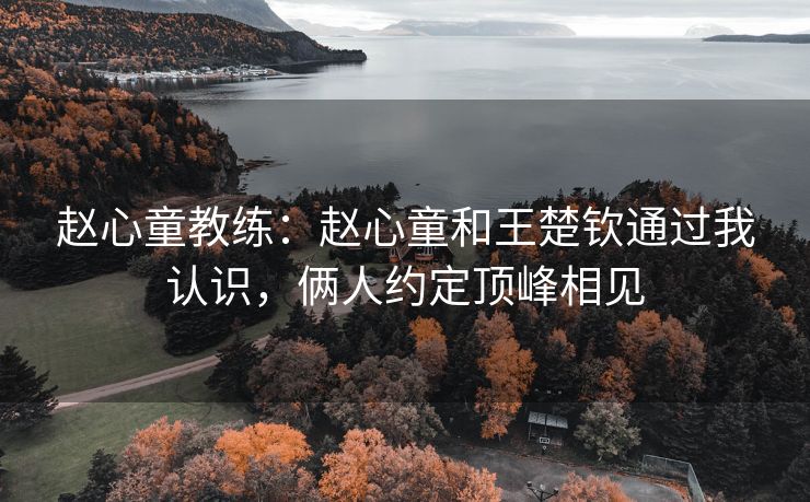 赵心童教练：赵心童和王楚钦通过我认识，俩人约定顶峰相见