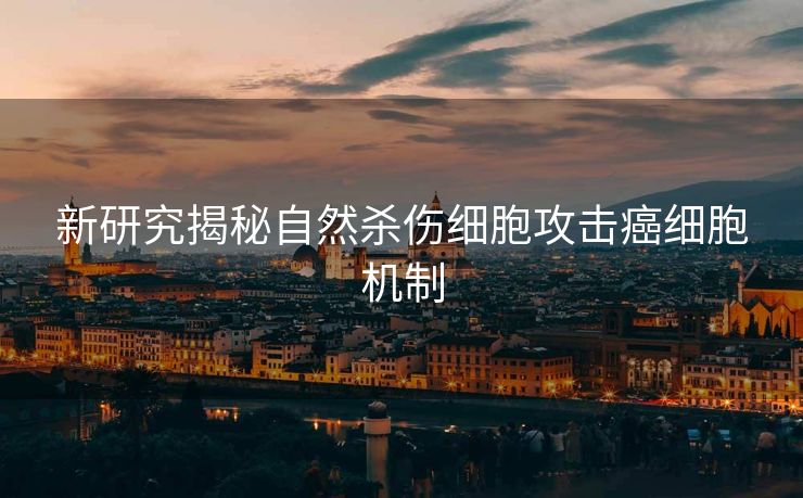 新研究揭秘自然杀伤细胞攻击癌细胞机制