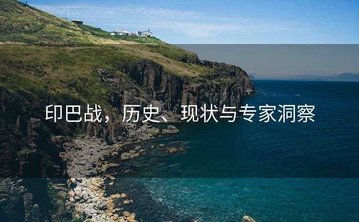 印巴战，历史、现状与专家洞察