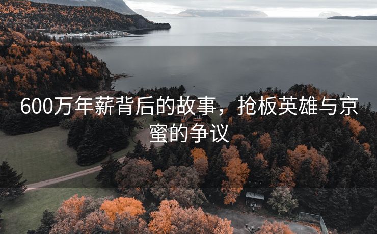 600万年薪背后的故事，抢板英雄与京蜜的争议