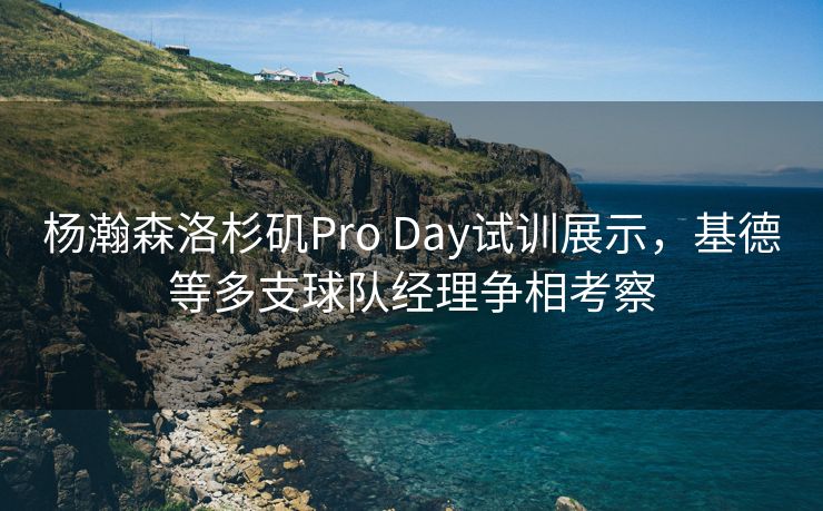 杨瀚森洛杉矶Pro Day试训展示，基德等多支球队经理争相考察