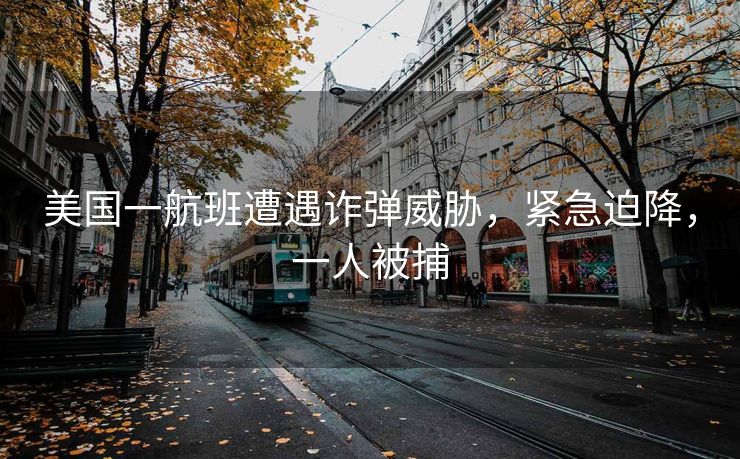 美国一航班遭遇诈弹威胁，紧急迫降，一人被捕