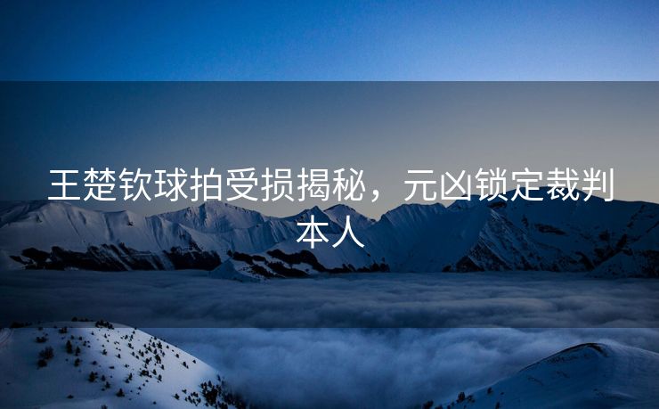 王楚钦球拍受损揭秘，元凶锁定裁判本人