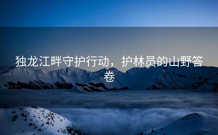 独龙江畔守护行动，护林员的山野答卷