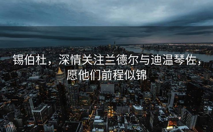 锡伯杜，深情关注兰德尔与迪温琴佐，愿他们前程似锦
