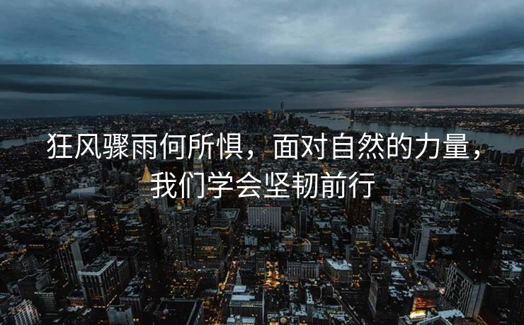 狂风骤雨何所惧，面对自然的力量，我们学会坚韧前行