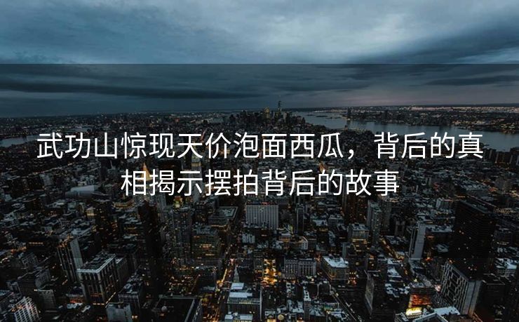 武功山惊现天价泡面西瓜，背后的真相揭示摆拍背后的故事