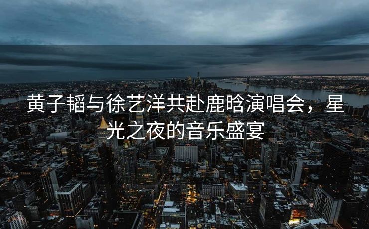 黄子韬与徐艺洋共赴鹿晗演唱会，星光之夜的音乐盛宴