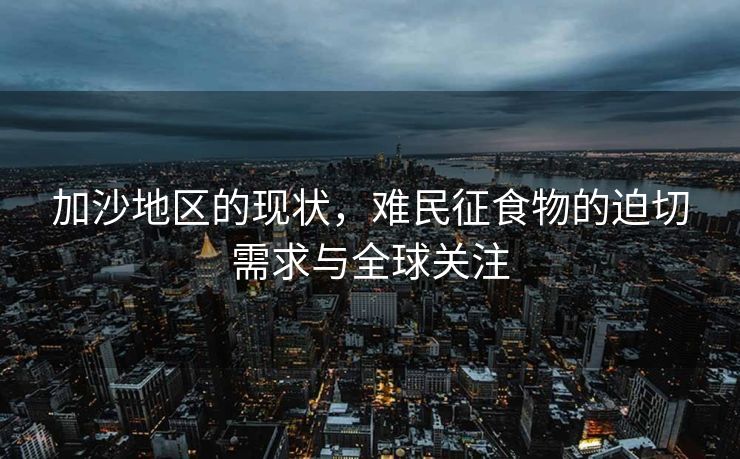 加沙地区的现状，难民征食物的迫切需求与全球关注