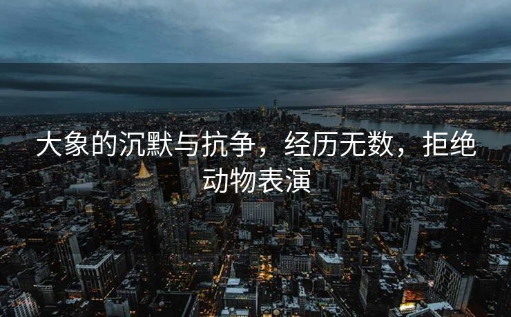 大象的沉默与抗争，经历无数，拒绝动物表演