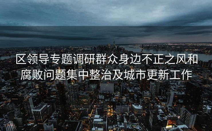 区领导专题调研群众身边不正之风和腐败问题集中整治及城市更新工作