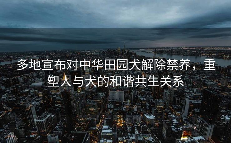 多地宣布对中华田园犬解除禁养，重塑人与犬的和谐共生关系