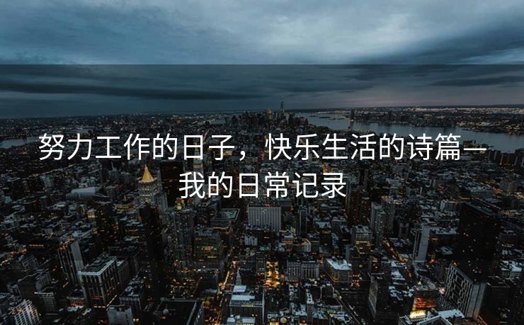 努力工作的日子，快乐生活的诗篇—我的日常记录