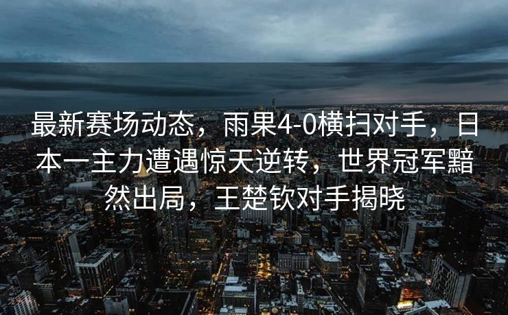 印尼沉船事故搜救工作持续进行中