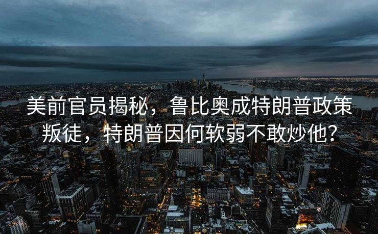 联合国粮农组织举办活动庆祝国际茶日