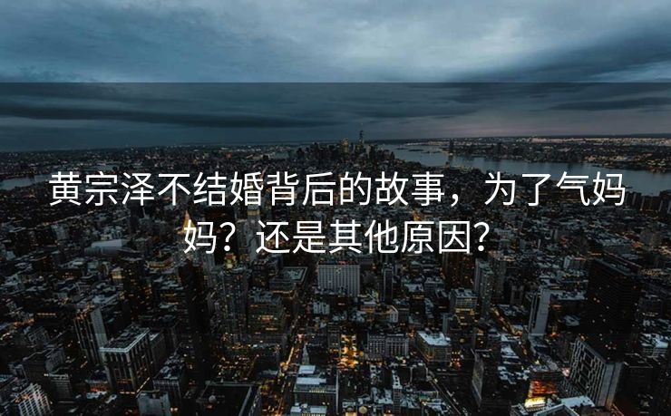 黄宗泽不结婚背后的故事，为了气妈妈？还是其他原因？