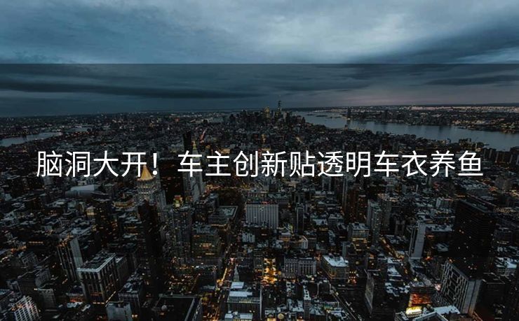 脑洞大开！车主创新贴透明车衣养鱼