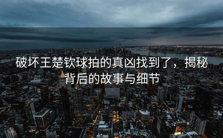 破坏王楚钦球拍的真凶找到了，揭秘背后的故事与细节