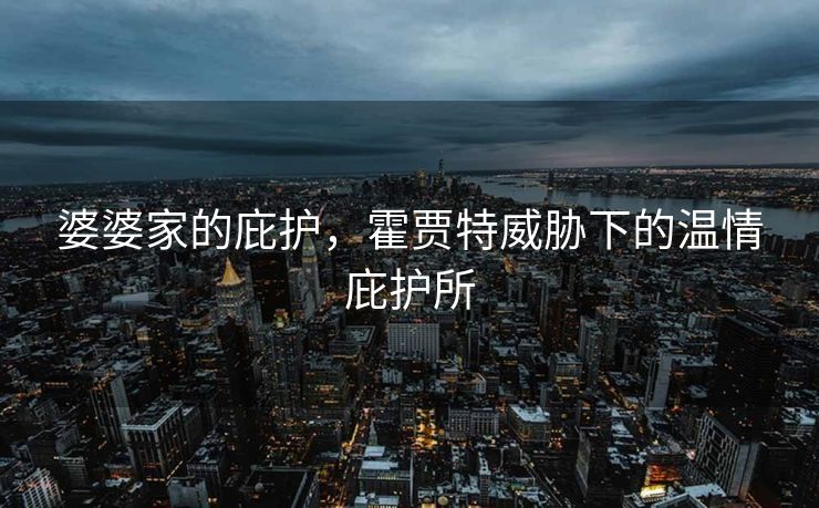 婆婆家的庇护，霍贾特威胁下的温情庇护所