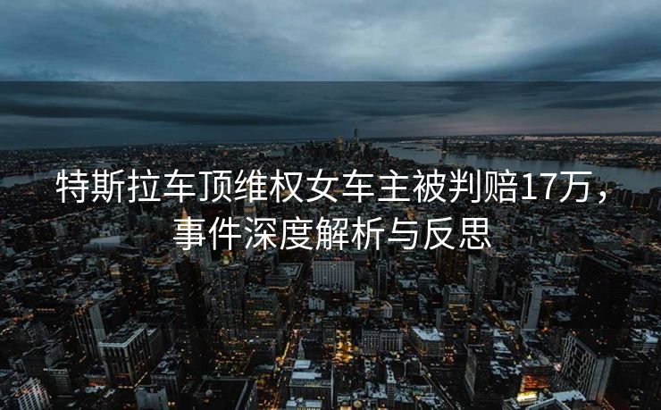 特斯拉车顶维权女车主被判赔17万，事件深度解析与反思