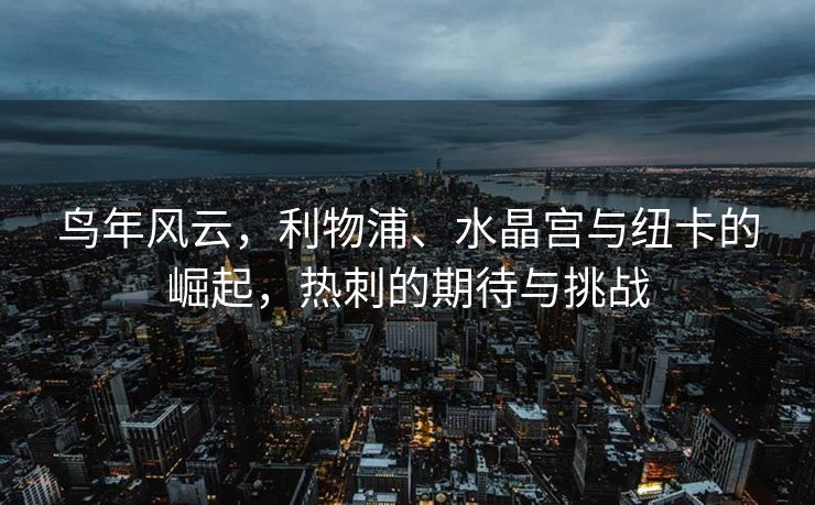 鸟年风云，利物浦、水晶宫与纽卡的崛起，热刺的期待与挑战