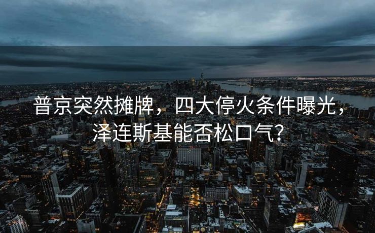 普京突然摊牌，四大停火条件曝光，泽连斯基能否松口气？