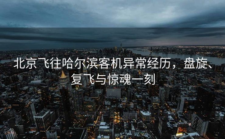 北京飞往哈尔滨客机异常经历，盘旋、复飞与惊魂一刻