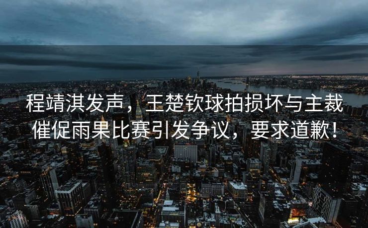 程靖淇发声，王楚钦球拍损坏事件疑点重重，主裁催促雨果比赛引发争议，诚恳道歉势在必行