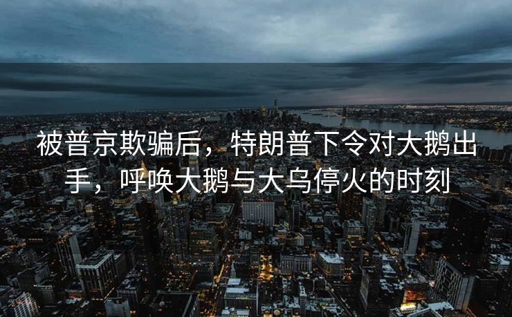 被普京欺骗后，特朗普下令对大鹅出手，呼唤大鹅与大乌停火的时刻