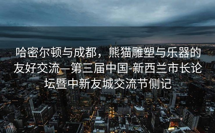 龙岩市政协党组会议召开，深化协商民主，推动地方发展