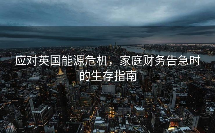 应对英国能源危机，家庭财务告急时的生存指南