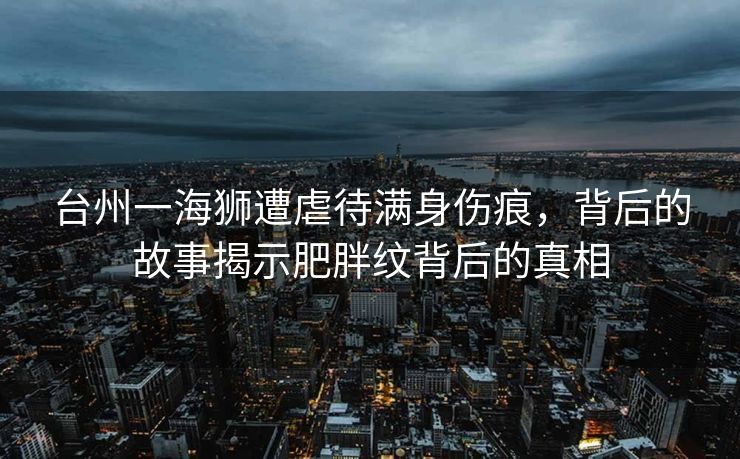 皇马重磅签约，阿隆索后继有人，恩佐成克罗斯接班人