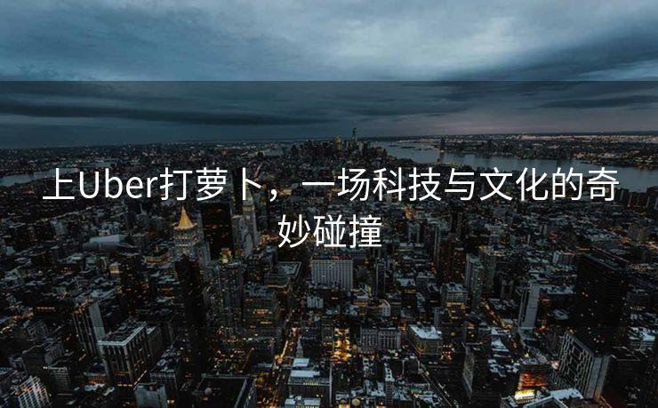 上Uber打萝卜，一场科技与文化的奇妙碰撞