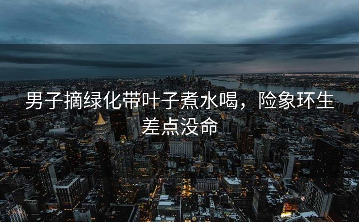 男子摘绿化带叶子煮水喝，险象环生差点没命