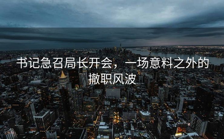 书记急召局长开会，一场意料之外的撤职风波
