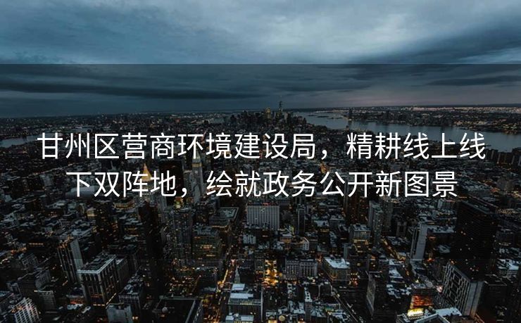 甘州区营商环境建设局，精耕线上线下双阵地，绘就政务公开新图景
