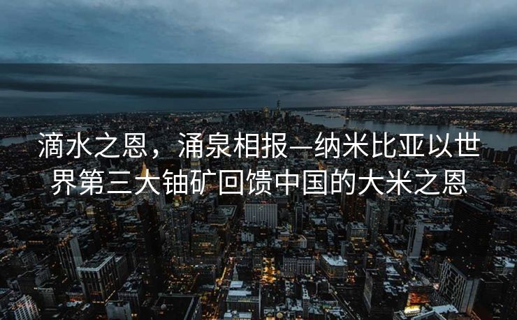 滴水之恩，涌泉相报—纳米比亚以世界第三大铀矿回馈中国的大米之恩