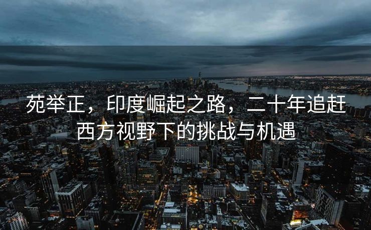 苑举正，印度崛起之路，二十年追赶西方视野下的挑战与机遇