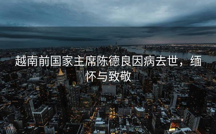 越南前国家主席陈德良因病去世，缅怀与致敬