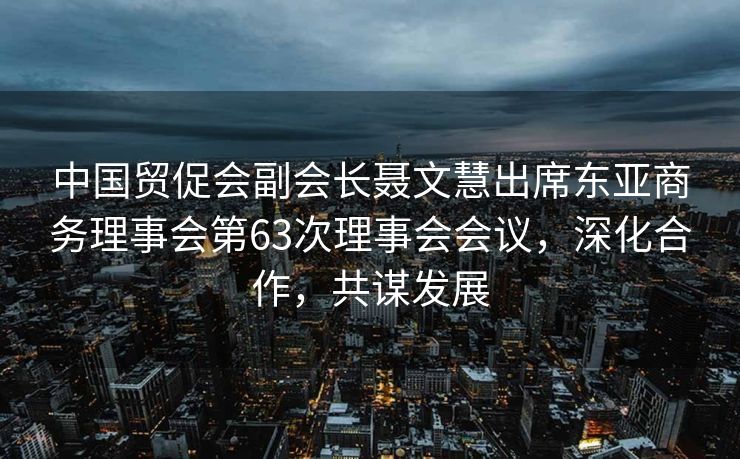 中国贸促会副会长聂文慧出席东亚商务理事会第63次理事会会议，深化合作，共谋发展