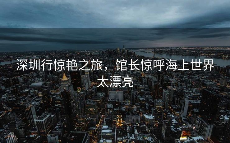 深圳行惊艳之旅，馆长惊呼海上世界太漂亮