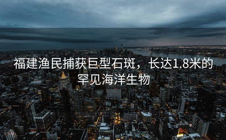 福建渔民捕获巨型石斑，长达1.8米的罕见海洋生物