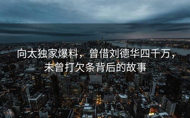 向太独家爆料，曾借刘德华四千万，未曾打欠条背后的故事