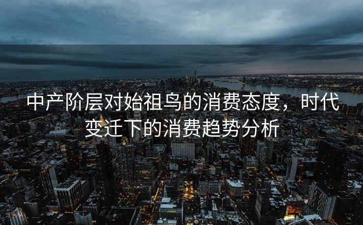 中产阶层对始祖鸟的消费态度，时代变迁下的消费趋势分析