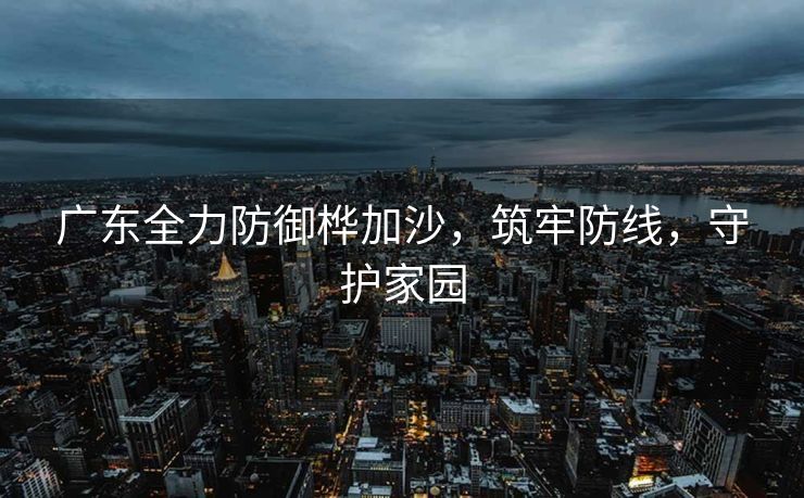 广东全力防御桦加沙，筑牢防线，守护家园